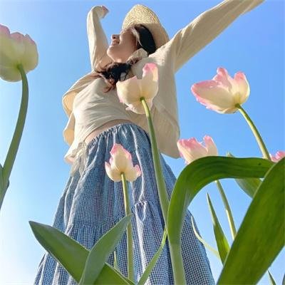 我公然梦想成为灰姑娘 封面